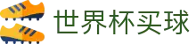 2026国际足联世界杯买球足球盘口 · 在线买球官方网站